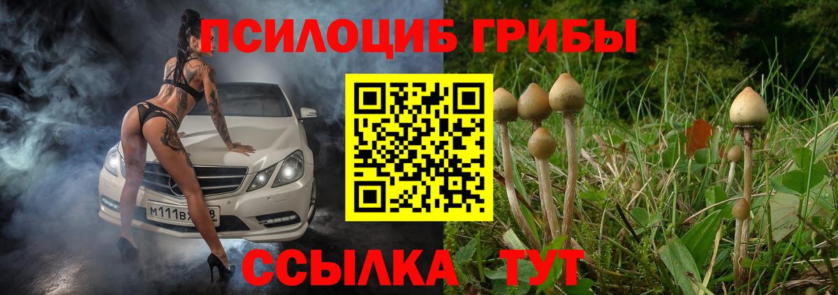 Галлюциногенные грибы мухоморы  Галлюциногенные грибы Psilocybine cubensis  Губкин  Вход с VPN 