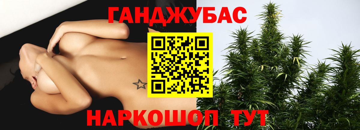 Канабис гибрид Губкин